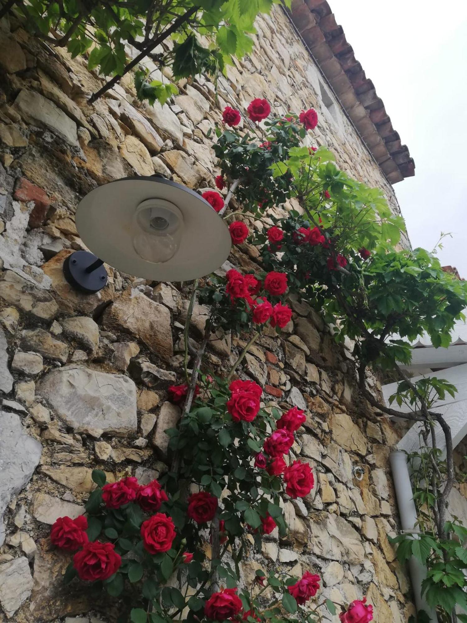 Magnanerie Le Mas D'Elise Boisset-et-Gaujac 外观 照片